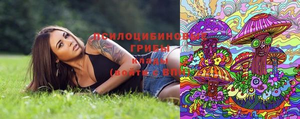 герыч Лагань