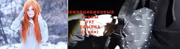 ешки Ладушкин