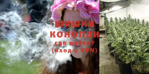ешки Ладушкин