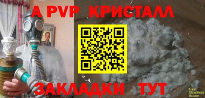 индика Камышлов