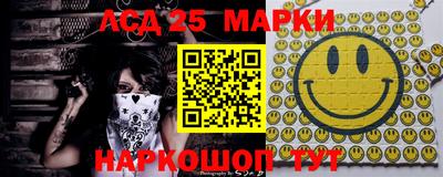 индика Камышлов