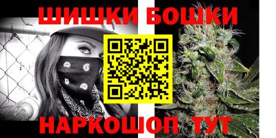 индика Камышлов