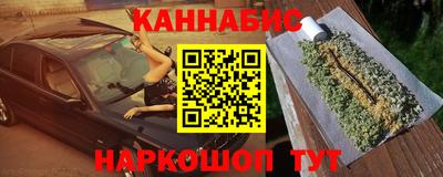 индика Камышлов