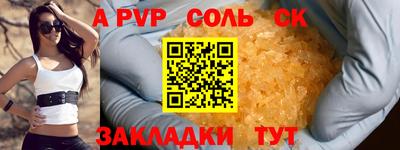 индика Камышлов