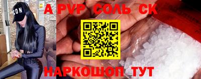 индика Камышлов