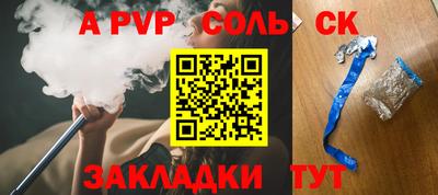 индика Камышлов