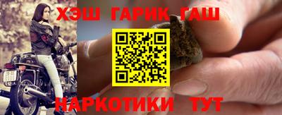 индика Камышлов