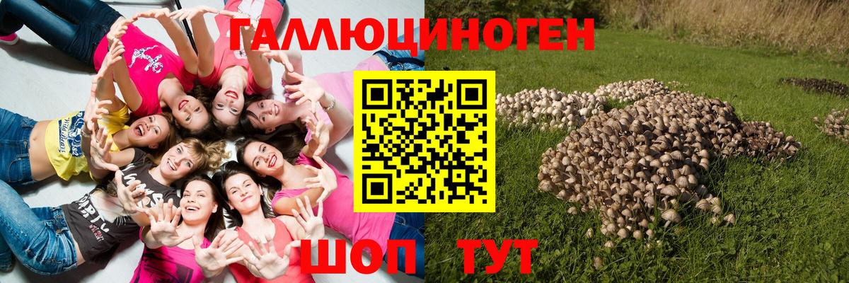 Псилоцибиновые грибы Magic Shrooms Мытищи