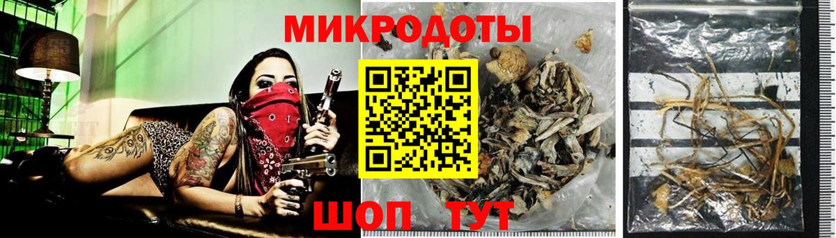 магазин продажи наркотиков  Галлюциногенные грибы Psilocybine cubensis  Псилоцибиновые грибы мицелий  Вход с VPN  Мытищи 